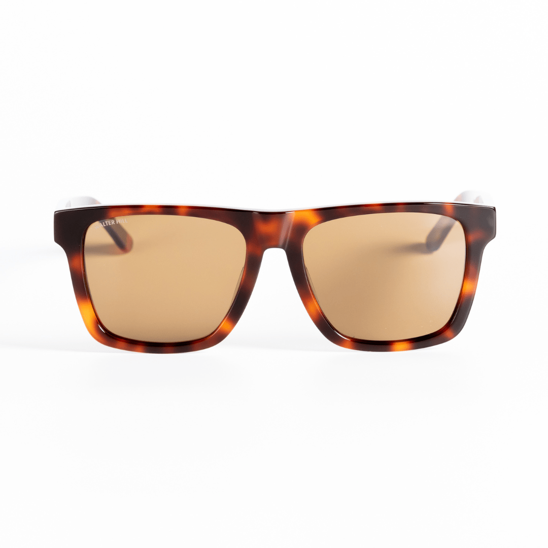 WALTER HILL Sunglasses Large AALTO - Havana