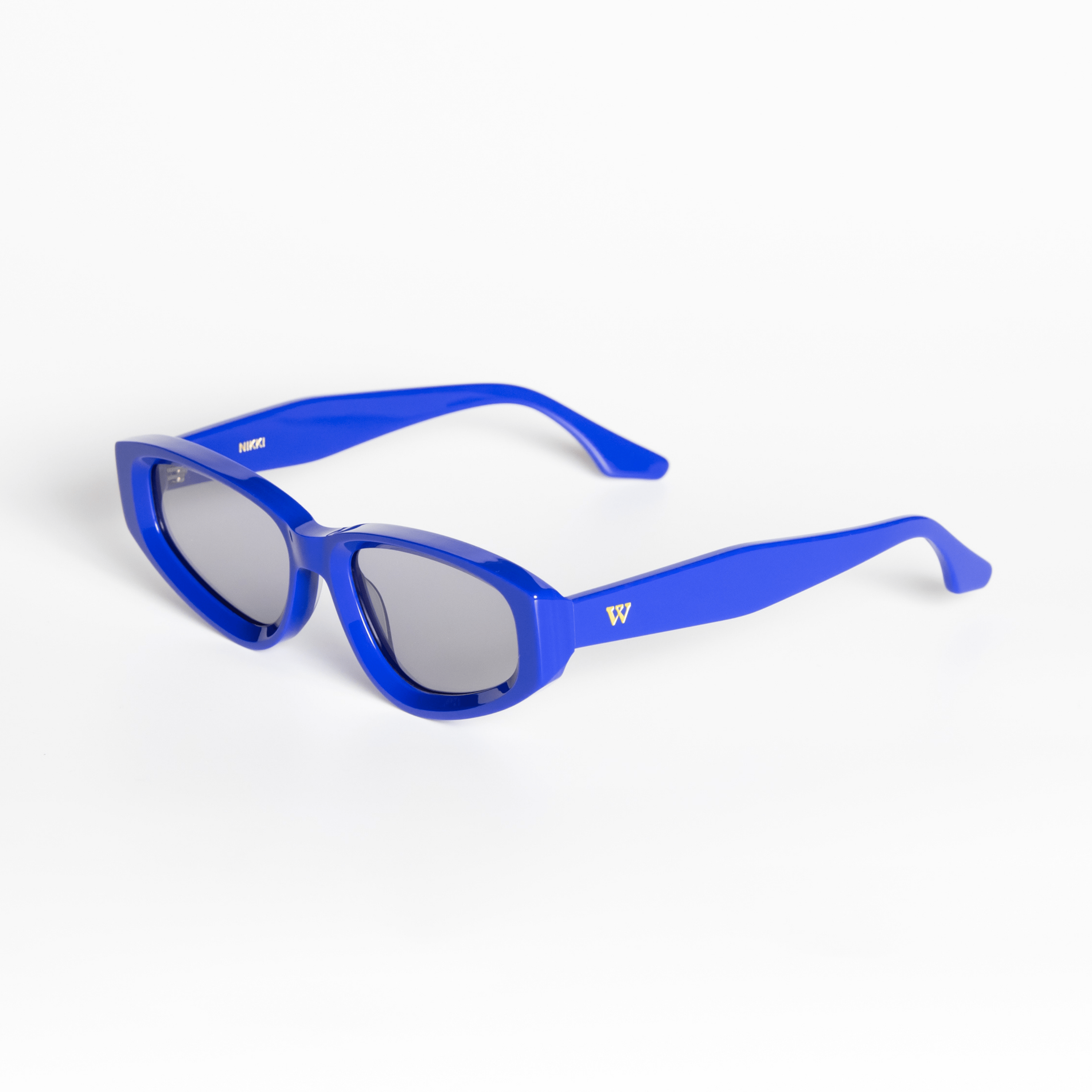 Walter Hill Sunglasses Blue / Standard / Polarized Cat.3 NIKKI - Blue