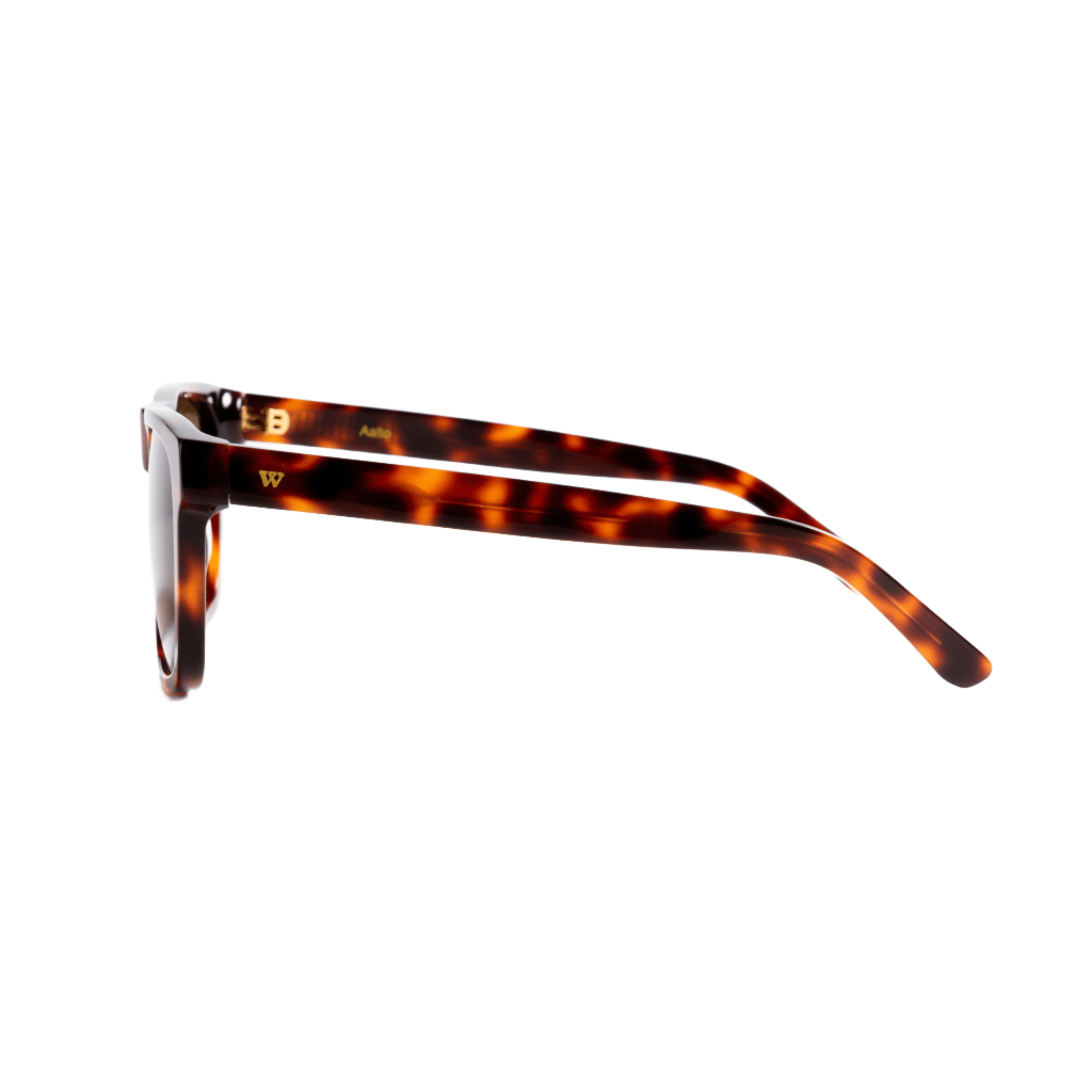 Walter Hill Sunglasses Oversized AALTO - Havana