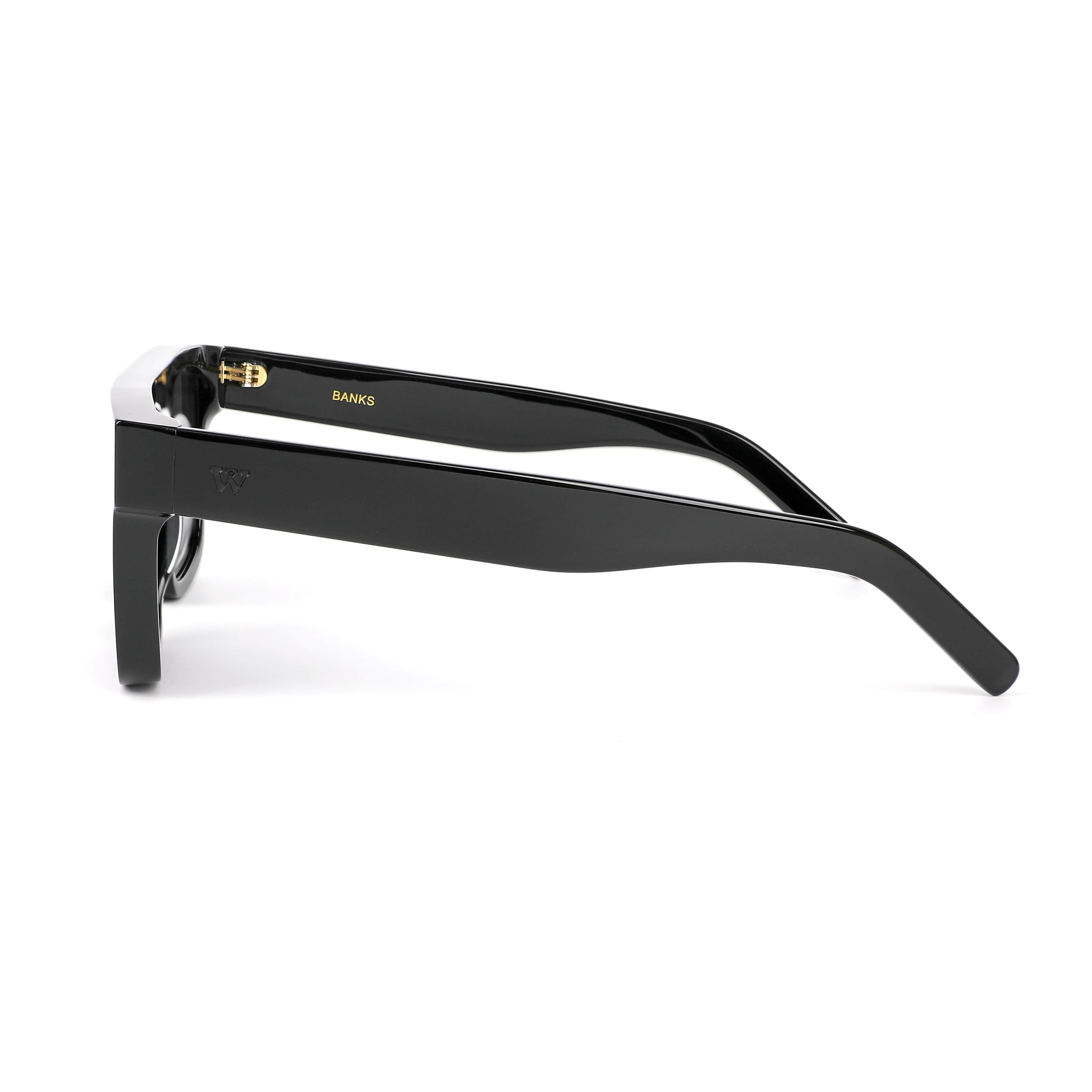 WALTER HILL Sunglasses Medium/Large / Polarized Cat.3 / Mazzucchelli Acetate BANKS - Black
