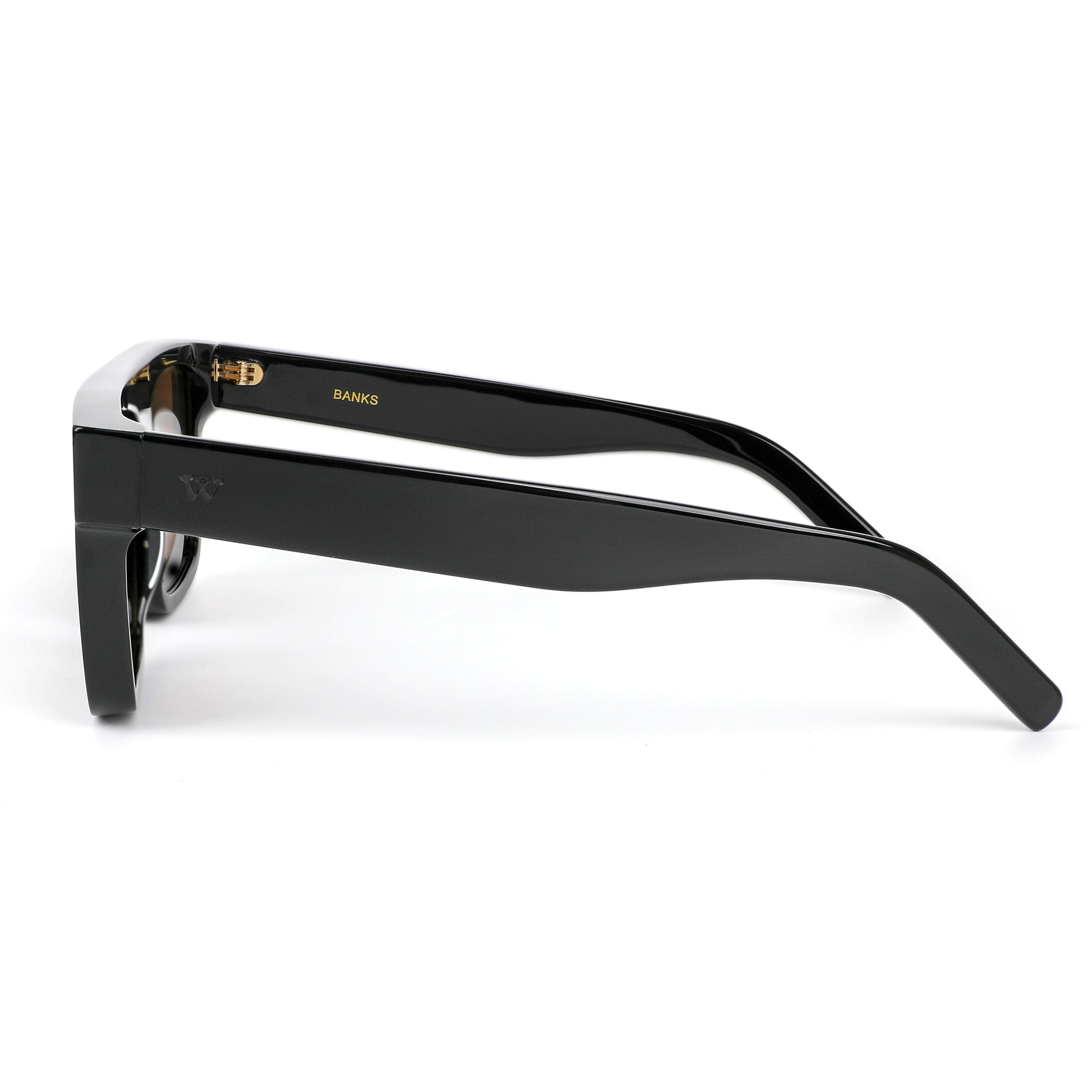WALTER HILL Sunglasses Medium/Large / Polarized Cat.3 / Mazzucchelli Acetate BANKS - Brown