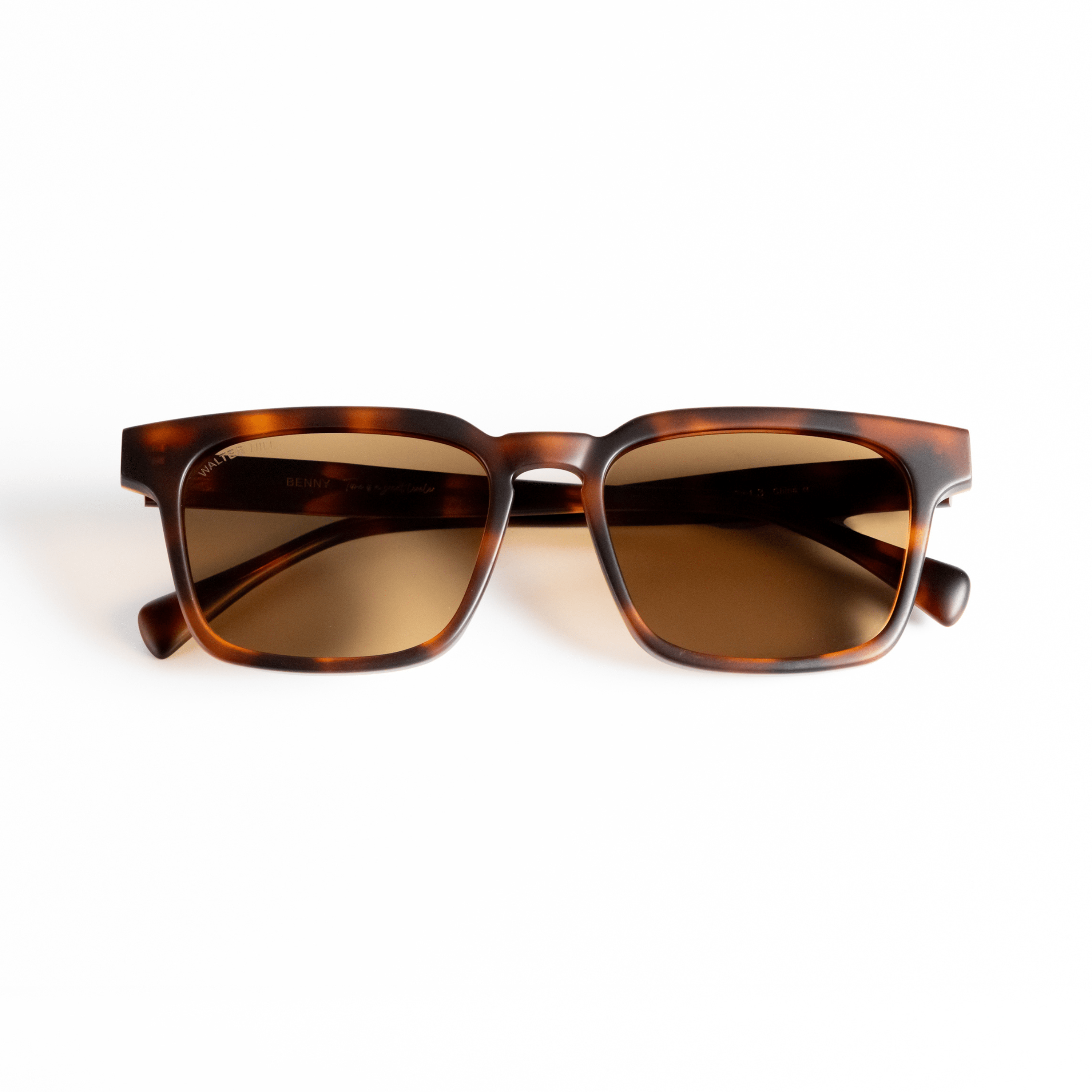 Walter Hill Sunglasses Oversized / Polarized Cat.3 / Mazzucchelli Acetate BENNY - Havana