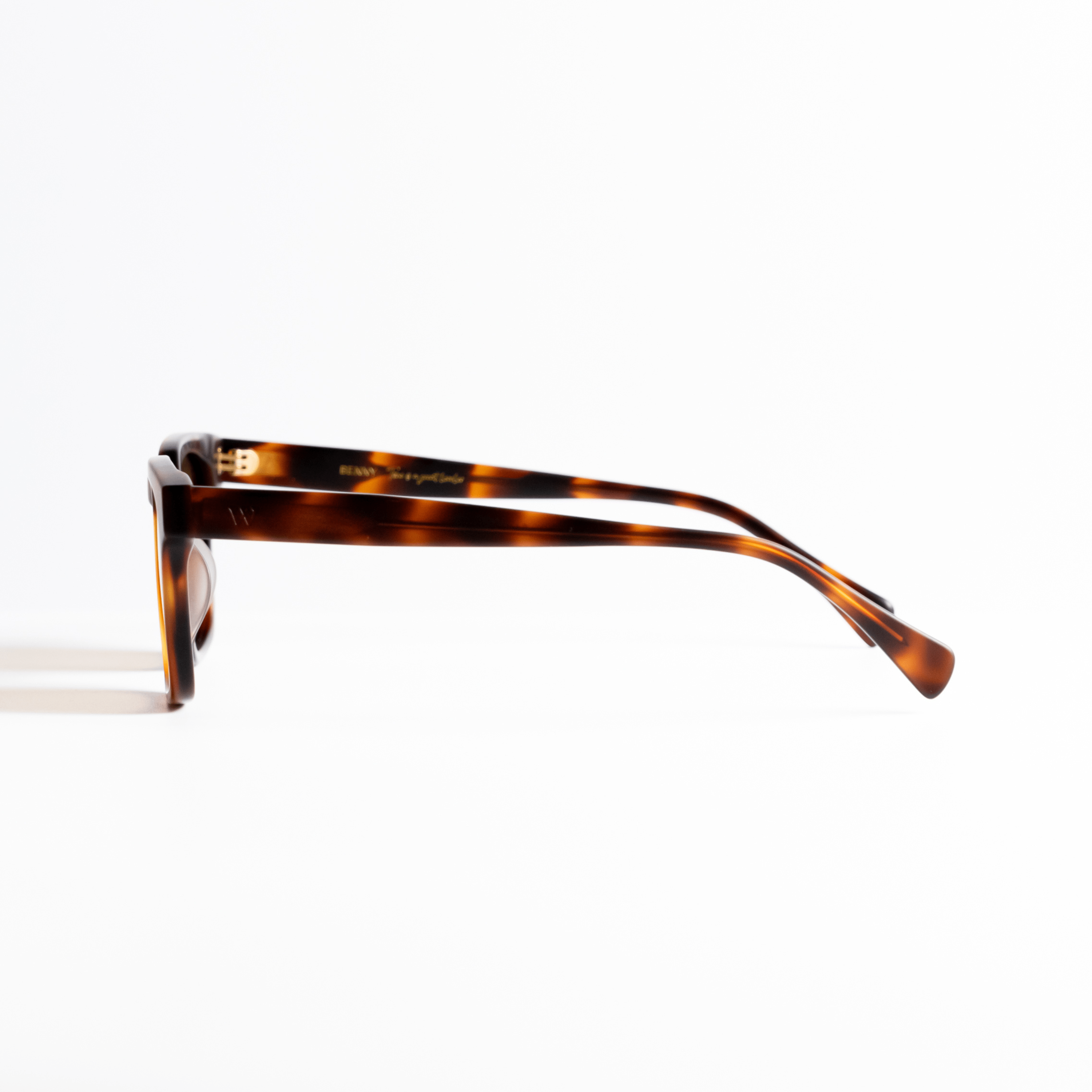 Walter Hill Sunglasses Oversized / Polarized Cat.3 / Mazzucchelli Acetate BENNY - Havana