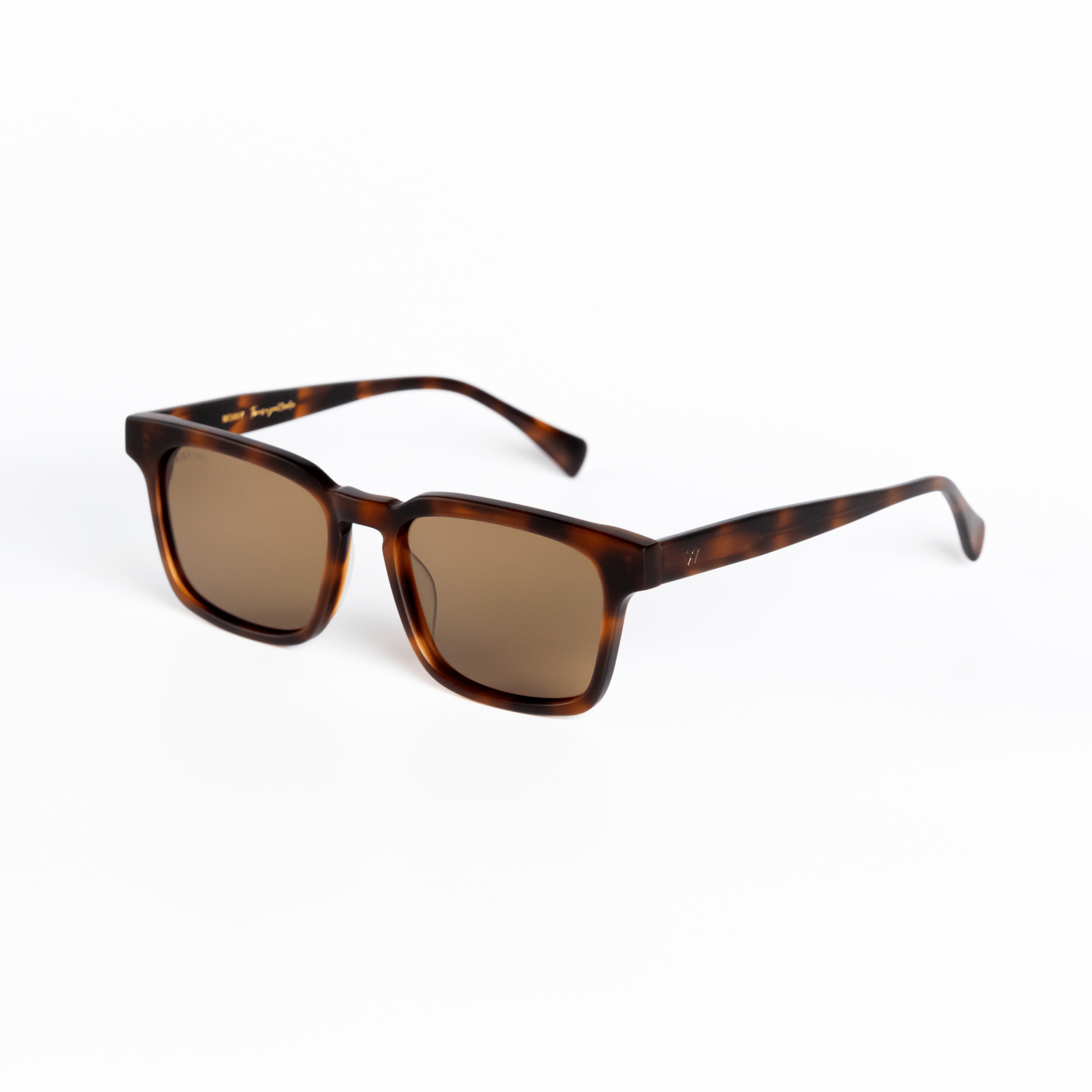 Walter Hill Sunglasses Oversized / Polarized Cat.3 / Mazzucchelli Acetate BENNY - Havana