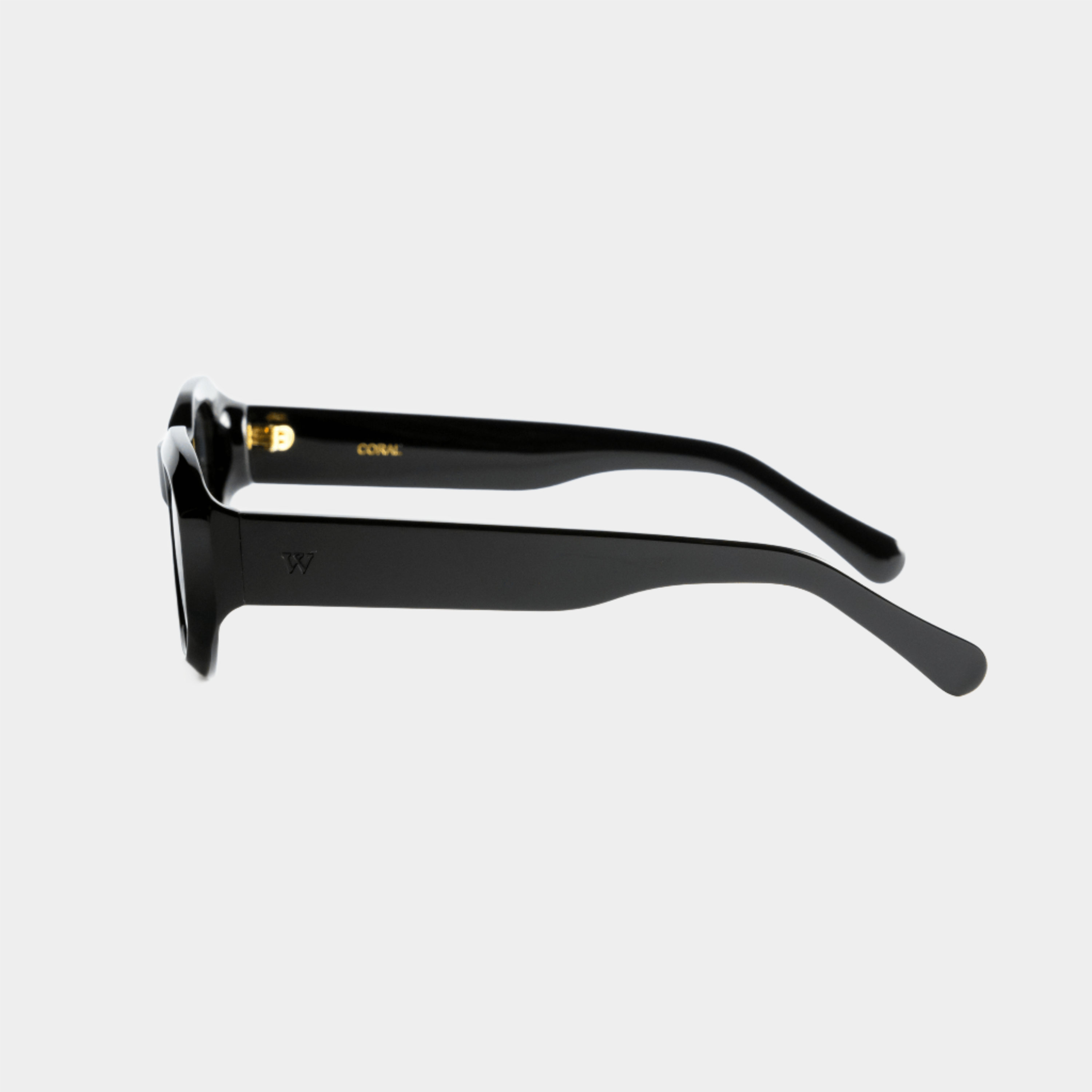 Walter Hill Sunglasses Medium/Large / Polarized Cat.3 / Mazzucchelli Acetate CORAL - Black