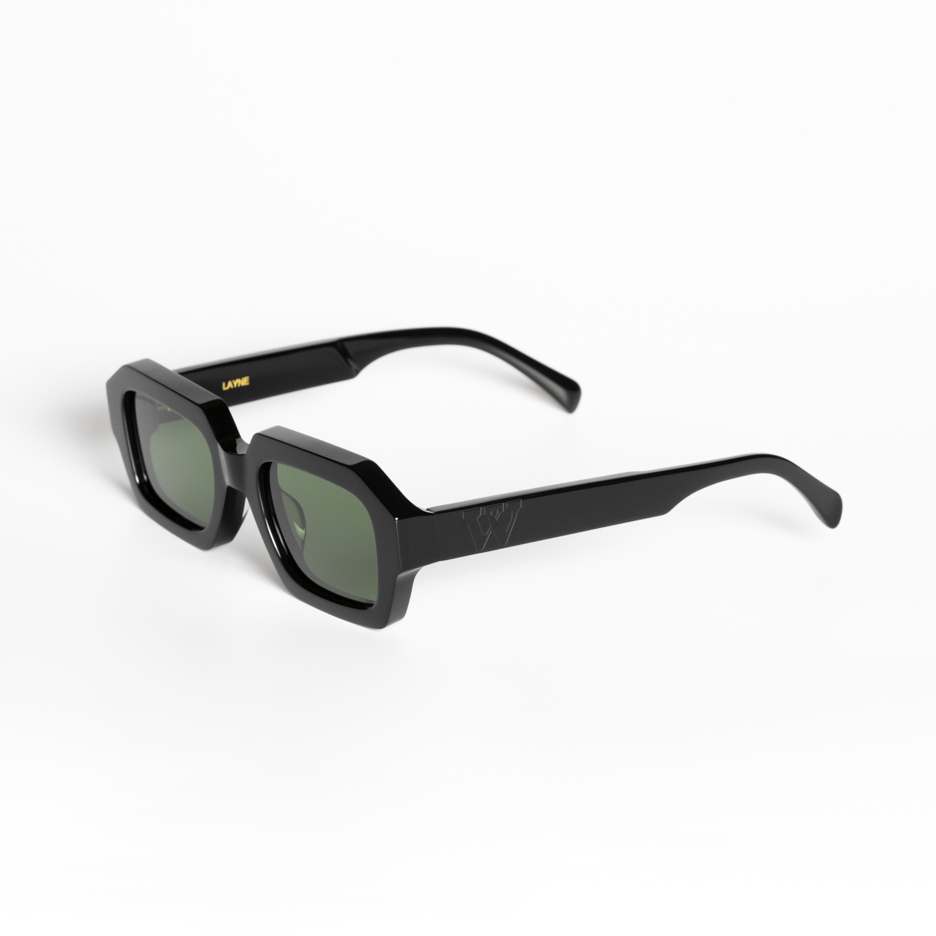 Walter Hill Sunglasses Black / Standard / Polarized Cat.3 LAYNE - Black - Green