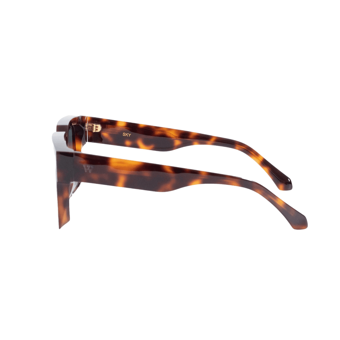 Walter Hill Sunglasses Large / Oversized / Havana / Glass SKY - Tortoise