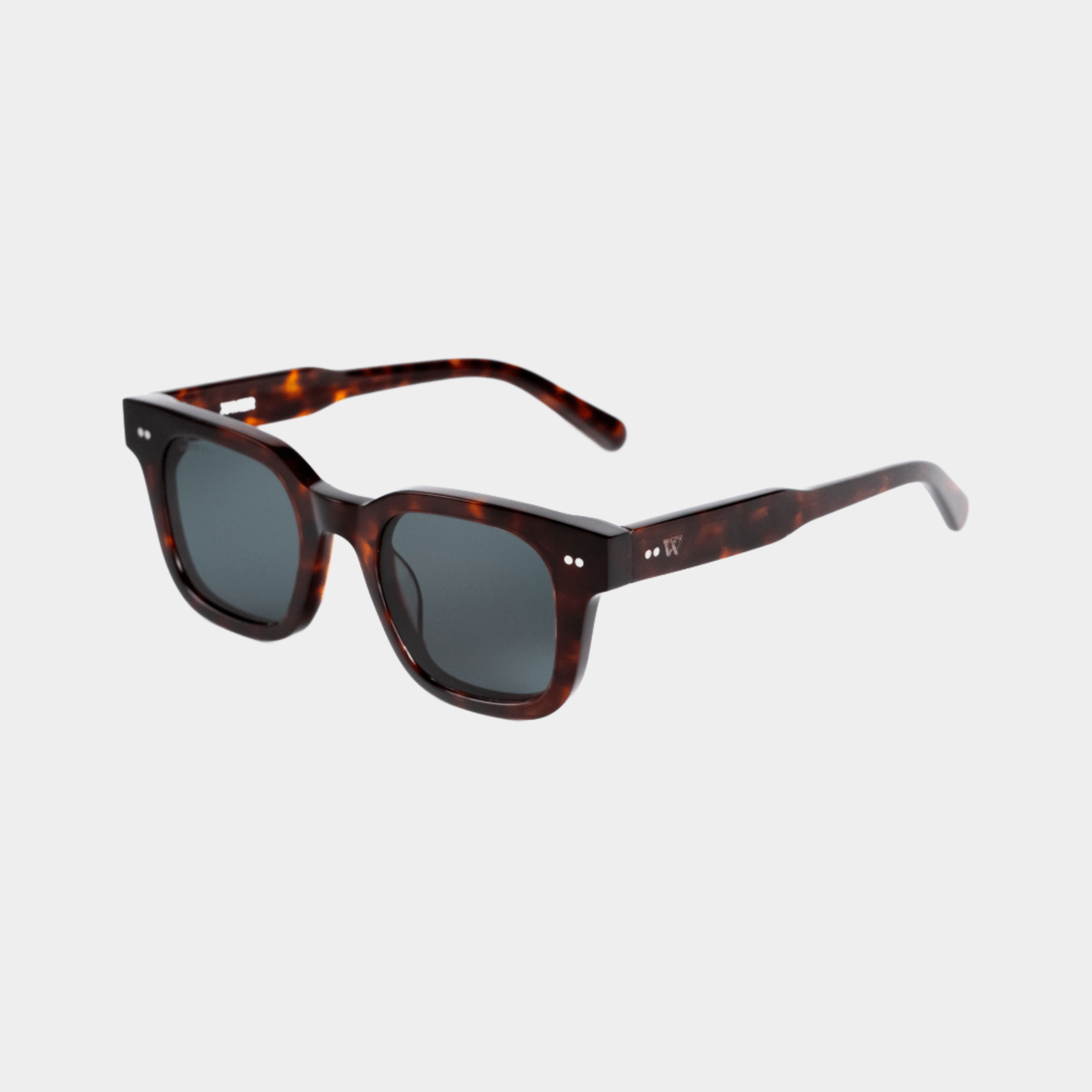 Walter Hill Sunglasses Tortoise / Standard / Polarized Cat.3 XAVIER - Tortoise