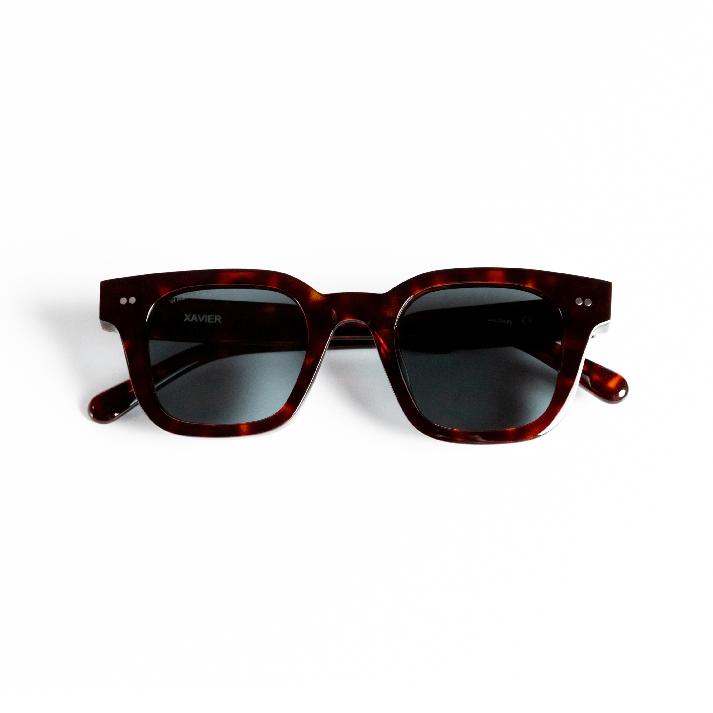 Walter Hill Sunglasses Tortoise / Standard / Polarized Cat.3 XAVIER - Tortoise